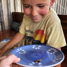 Amy & Caleb Rae (@solace_farm_homestead) • Instagram photos and videos