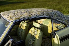 Image result for Spanish Gold 1969 Barracuda