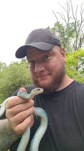 Just relocated the bluest blue I've seen yet! Guessing about two years old.  Really sucked seeing this little sapphire go lol.