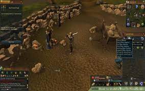 How To Play Runescape On Your Chromebook Complete Tutorial Updated For 2022 Platypus Platypus