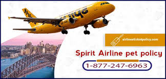 Number of kennels allowed in cabin: Spirit Airlines Pet Policy Tollfree 1 877 247 6963
