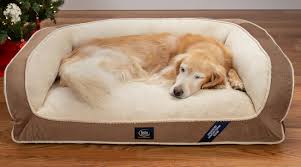 Dog bed serta pedic petite gel memory foam orthopedic quilted couch brown finish. Sertapedic Memory Foam Couch Extra Large Pet Bed Brown 44 L Walmart Com Walmart Com
