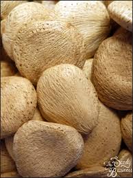 Image result for Telfairia pedata