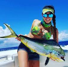 jaw lures corp on instagram islandbaby4life with a beautiful mahi mahi caught trolling our mahi mahi slayer lure onboard the tw beautiful mahi mahi slayer