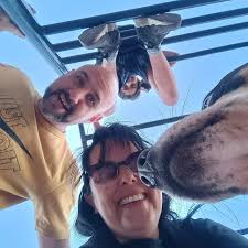 Mediadora de lectura. Talleres cuentos y origami. (@andydebiblio) •  Instagram photos and videos