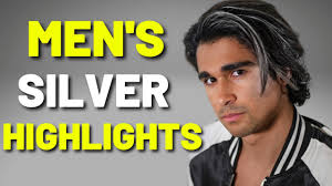 Men's Haircut & Silver Highlights