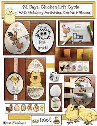 Do You Study Chickens Or Hatch Chicks As A Life Cycle Science Unit Our Preschool Does Getting Th Life Cycles Chicken Life Cycle Activities Chicken Life Cycle