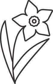 Image Result For Daffodils Flowers Clipart Black And White Desenhos