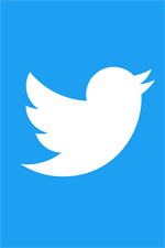 Furthermore, since it's a specific client. Get Twitter Microsoft Store