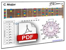 Guitar Notes How To Learn The Fretboard