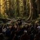 Wilder Frets: Classical Guitar in the Wilderness at Noble Woods Estate