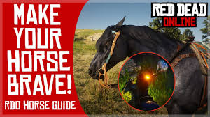 What Is The Best Horse In Rdr2 Story Mode? - Quora