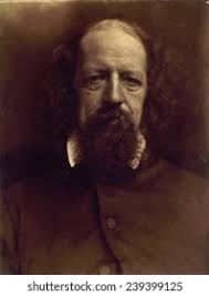 16 Julia Cameron Royalty-Free Images, Stock Photos & Pictures