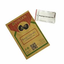 Image result for Musanga