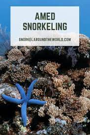 Where To Snorkel In Amed Explore Amed Best Snorkeling Spots Amed Beach Jemeluk Bay Lipah Beach Japanese Shipw Snorkeling Best Snorkeling Water Adventure