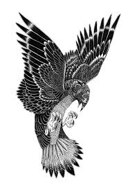 Bird Of Prey Tattoo Pin Von Tanja Jenkins Auf Design Japanische Kunst Phenix Tattoo Zeichnungen