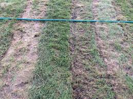 Image result for site:byggahus.se rullgräs