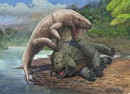 Image result for Scutosaurus