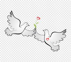 Maybe you would like to learn more about one of these? Hari Kasih Sayang Lovebird Qixi Festival Qixi Festival Valentine Love Birds Cinta Putih Mamalia Png Pngwing