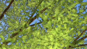 Tarrotherambler Porn - Rule 34