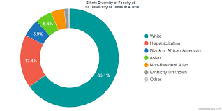 the university of texas at austin diversity racial