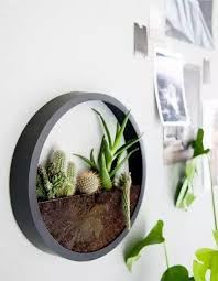20 Cool Terrarium Ideas That Are Simply Amazing Dco Vgtale Diy Horloge Terrariums Diy Et Terrarium
