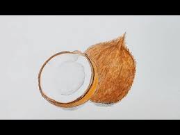 New users enjoy 60% off. How To Draw Coconut Painting With Color Pencil Youtube