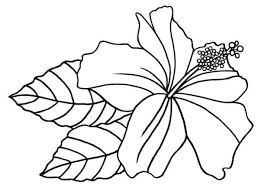 Knowing different animals, plants, and trees while. Easy Printable Tropical Flower Easy Printable Easy Coloring Pages All Round Hobby