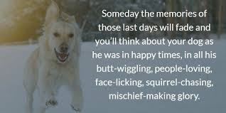 Dog Gone 20 Inspirational Quotes About Losing A Dog Terribly Terrier Dog Quotes Inspirational Losing A Dog Dog Quotes