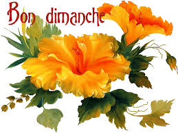 Bon dimanche