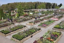 Stop by our garden supply store and nursery in chester, new jersey. Gordale Garden And Home Centre Visit Wirral