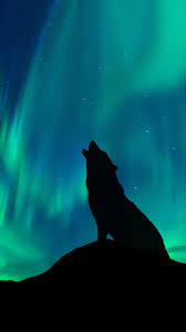 Comes in all 3 wolf stencils as shown in the display. Wolf Light Show Northern Lights Art Wolf Painting Wolf Silhouette