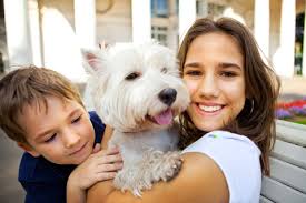 Joseph graff (dvm, owner) linda herbert (dvm) roger kuhn (president) norman freid (president, inactive) agent: Pet Central Animal Hospital Veterinarian In Minneapolis Minnesota Us Testimonials