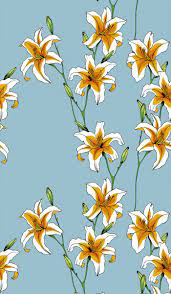 Pin On Lily