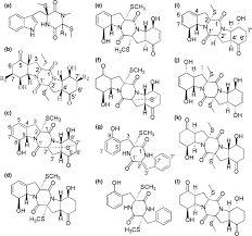 Founded on the philosophy that mother nature knows best, dorai offers sustainable bathroom and kitchen. Non Lipopeptide Fungi Derived Peptide Antibiotics Developed Since 2000 Springerlink