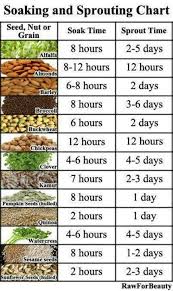 Sprouting Seeds Soaking And Sprouting Chart Vegetable