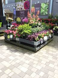 Next Home Garden Home Decorating Centre Garden Lifestyle Layout Landscape Customer Journey Visual Merchandising Www Clearre Tanaman Hiasan