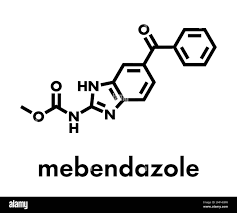 Image result for Mebendazole