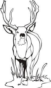 Free Printable Deer Coloring Pages For Kids Deer Coloring Pages Animal Coloring Pages Skull Coloring Pages