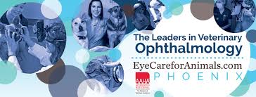 Eye Care For Animals Phoenix Az Home Facebook