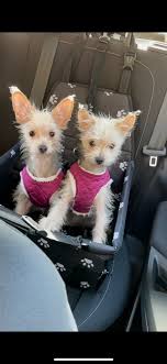 Elle Brewster (@brewster214)