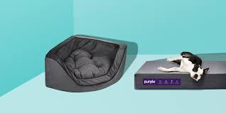 Get any reviewed product below and give your pooch that special place they can unwind and relax after a long day. 10 Best Dog Beds In 2021 Top Rated Beds For Small And Large Dogs