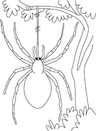 Our spidey senses are tingling! Printable Spider Coloring Pages Coloringme Com