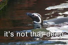 Find and save images from the club penguin memes collection by mel (yobonjae) on we heart it, your everyday app to get lost in what you love. Penguin Memes
