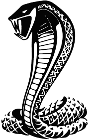 This coloring page is a derivative work. Poisonous Snake King Cobra Coloring Pages Poisonous Snake King Coloring Home