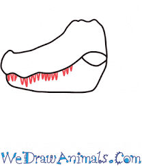 Check spelling or type a new query. How To Draw An Alligator Head