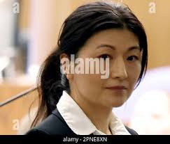 Yue “Emily” Yu appears before Judge Jonathan Fish for her arraignment in  Orange County Superior Court in Santa Ana, Calif., Tuesday, April 18, 2023.  Yu, a Southern California dermatologist, has been charged