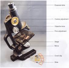 What Is The Main Function Of The Microscope A Plus Topper Functionofmicroscope Microscopic Microscope Parts Function