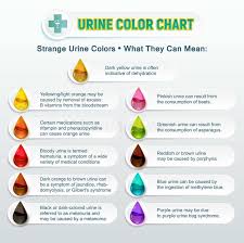 urine color chart 2 stock vector illustration of hematuria