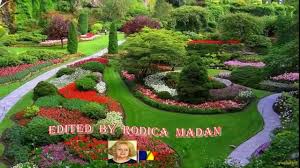 See more ideas about garden, garden pictures, dream garden. The Dream Gardens Youtube